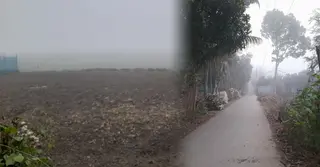 হঠাৎ ঘন কুয়াশায় ঢেকে গেলো ফরিদপুর, বিপাকে পেঁয়াজ চাষিরা